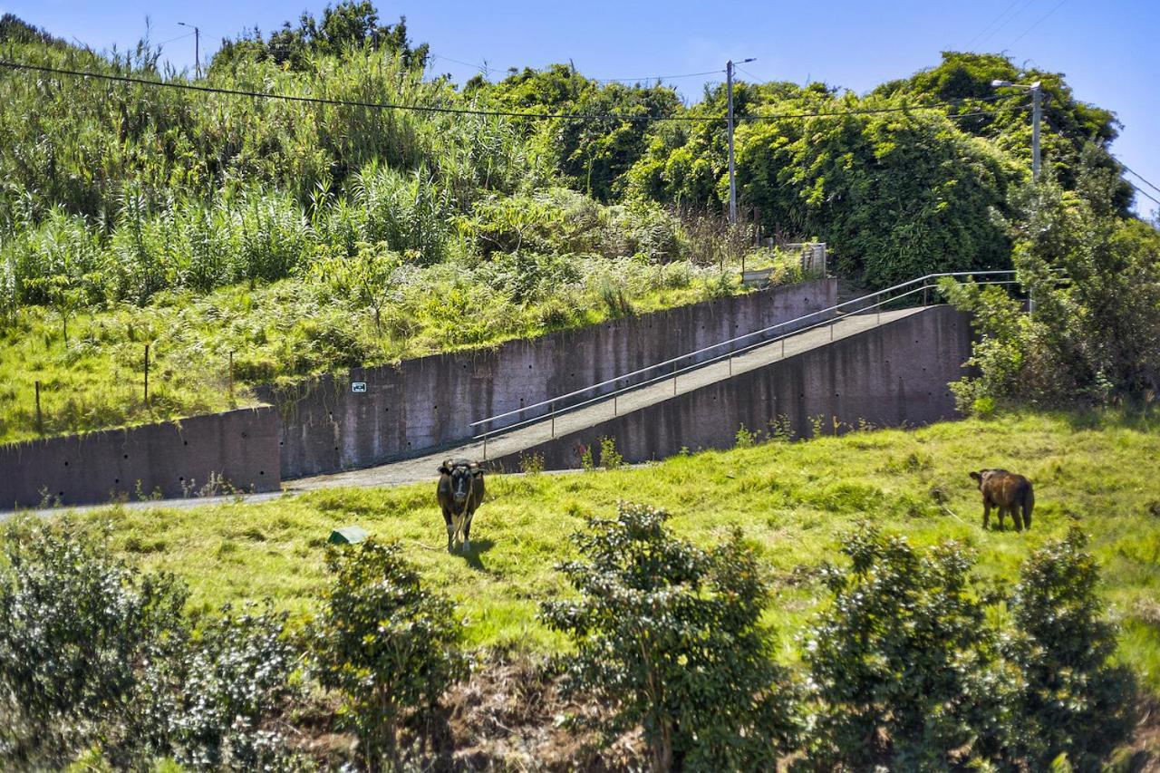 Casa Afonso Na Madeira Villa São Jorge Eksteriør billede